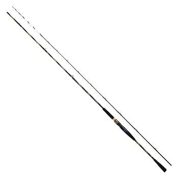DAIWAダイワ 20 極鋭ヒラメ H-300・R 極鋭ヒラメ EX(ロッド)｜DAIWA
